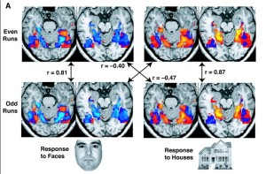 PD fMRI seeing houses
