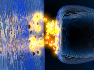 3D rendered Illustration. Image of a synapse. Abstract image.