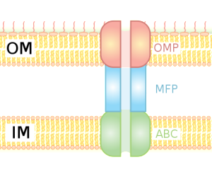 From Adenosine