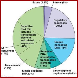 DNA percentages of jumping genes