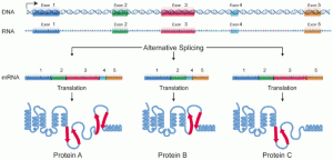 PD DNA_alternative_splicing