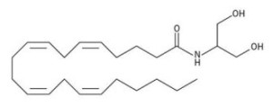 PD Endocannabinoid_Structure_-_2-Arachidonoylglycerol_(2AG)_Type