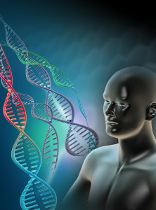 Human Genome