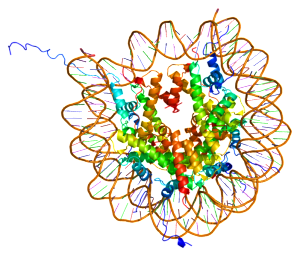 PDBbot Histone