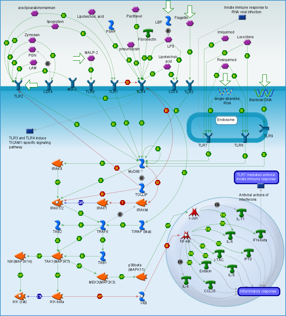 Rdarehgazani wiki TLR map - Jon Lieff, MD