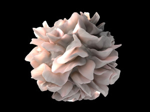 PD sheets of dendritic cell capture HIV