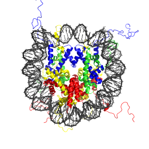 Vojtěch Dostál wi acetylation of Nucleosome_1KX5_colour_coded