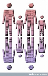 B0003352 People with DNA fingerprints - artwork