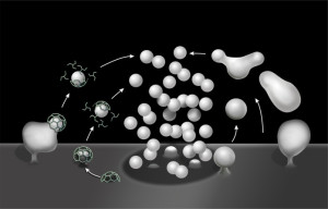 revision figures draft 06112014.pptx